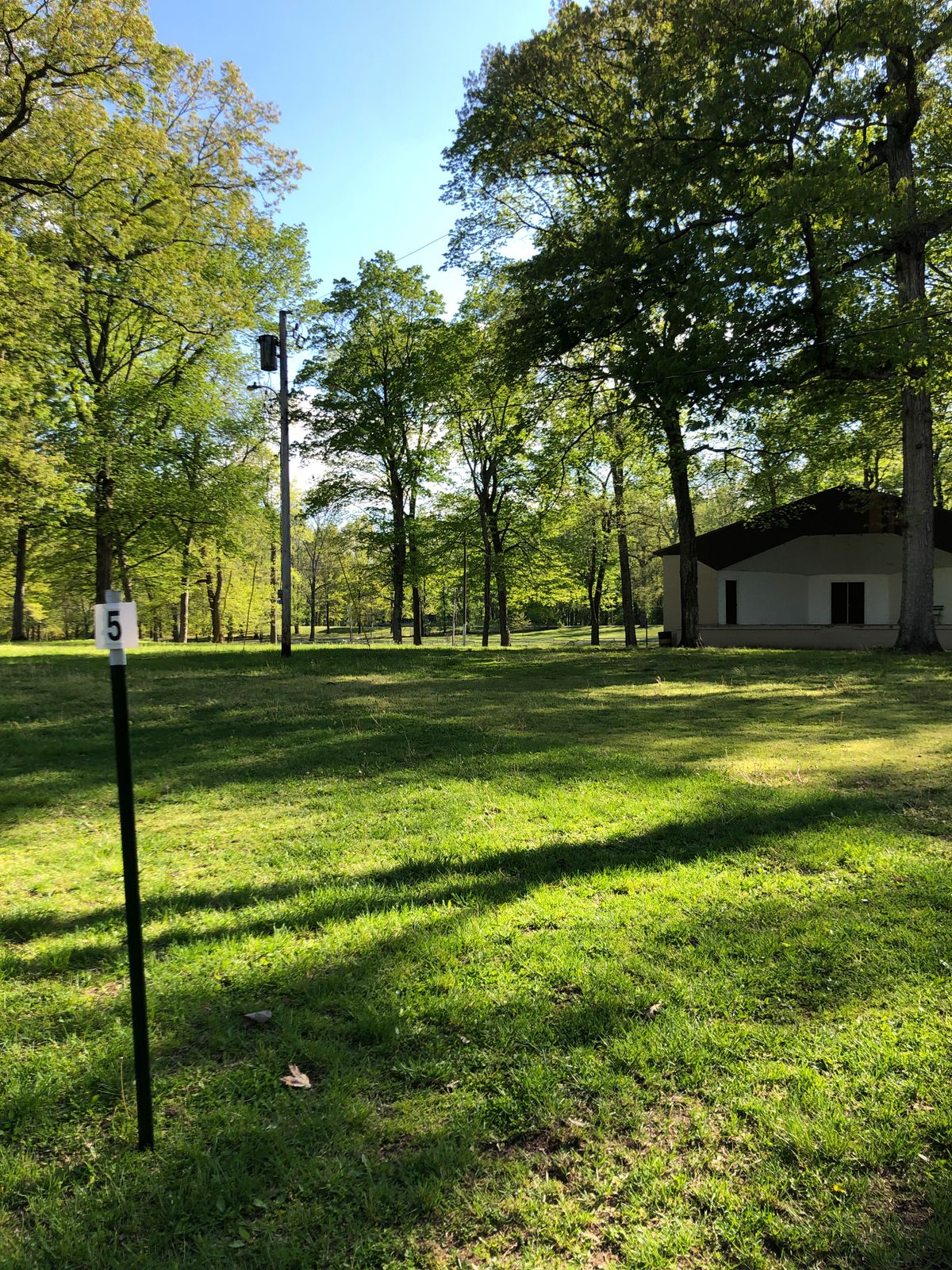 Hole 5 tee