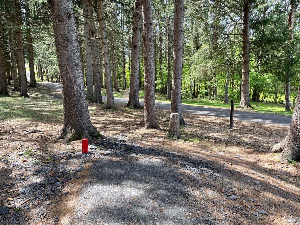 Hole 4 Short Tee
