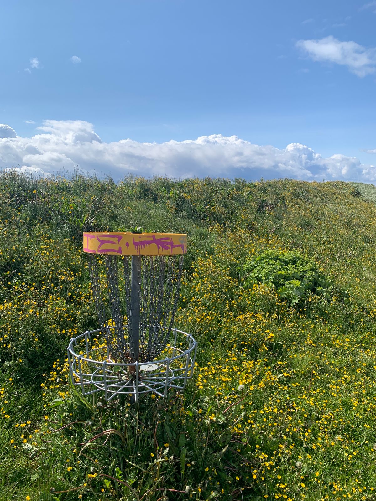 Hole 4 🌾
