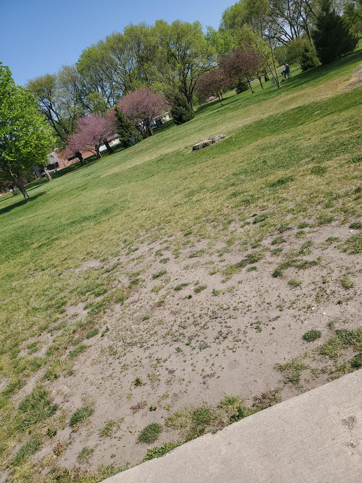 Pad and basket hole 1