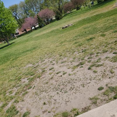 Pad and basket hole 1