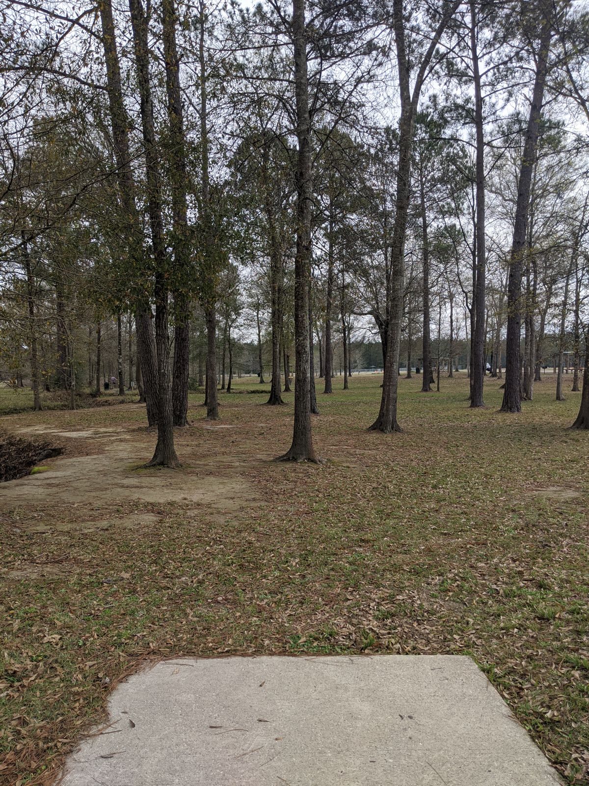 Hole 11 Tee