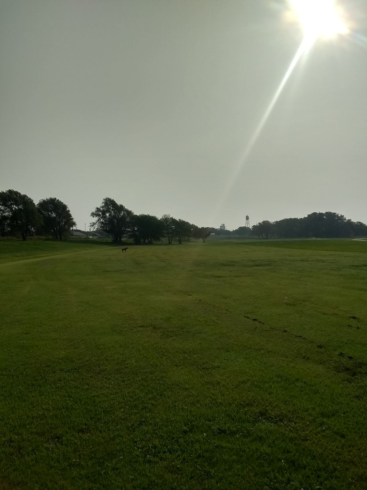 Tee Box #3