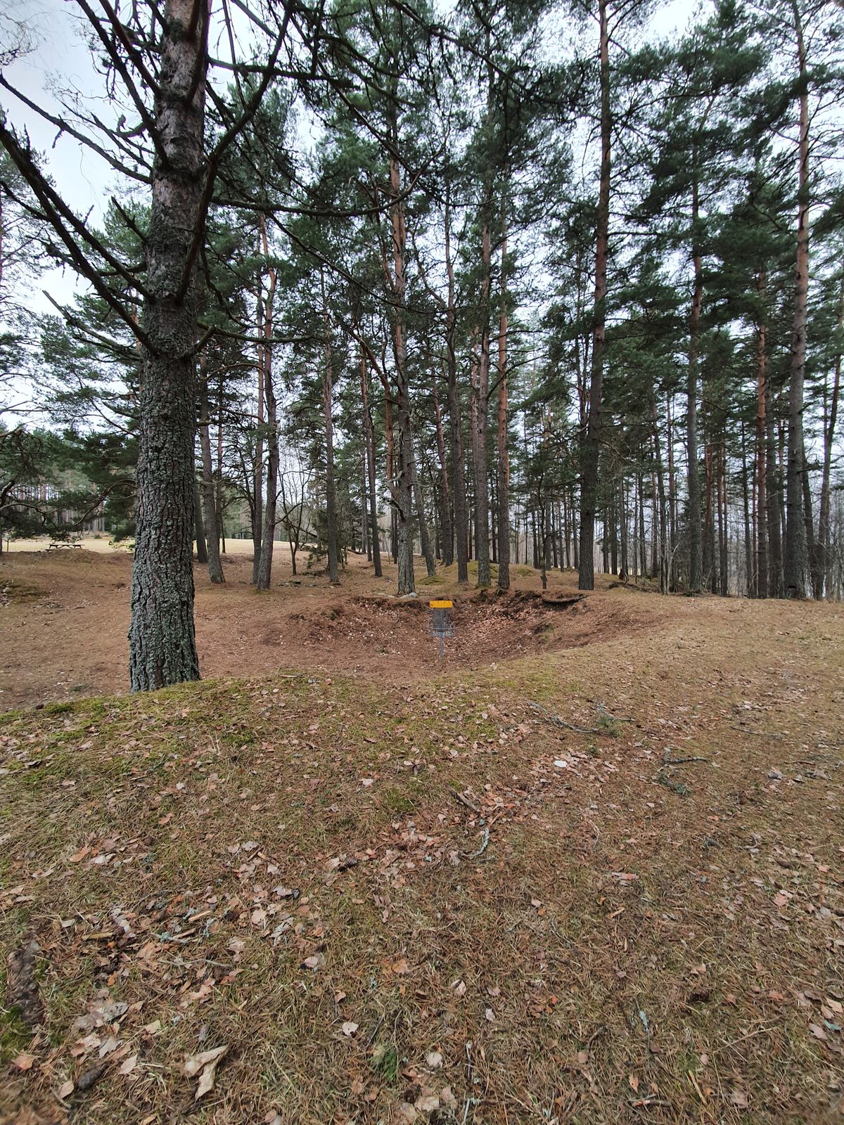 Late winter 2020. Hole 14