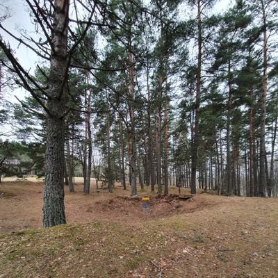 Late winter 2020. Hole 14