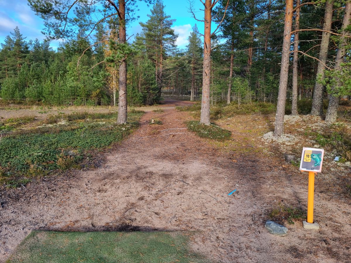 Väylä 16, kapeasta välistä suoraan aukealle josta vasemmalle lähestyminen korille