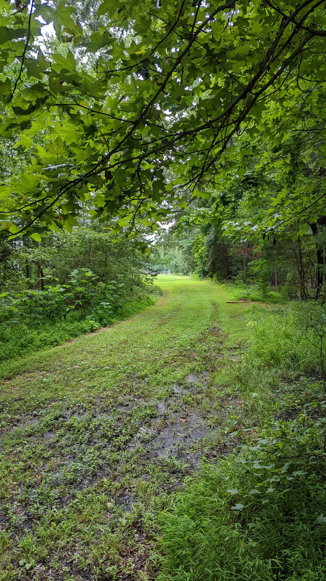 Hole 7 white tee