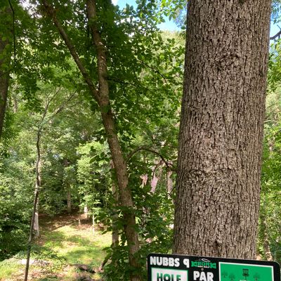 *sign shows short tee