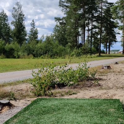First tee