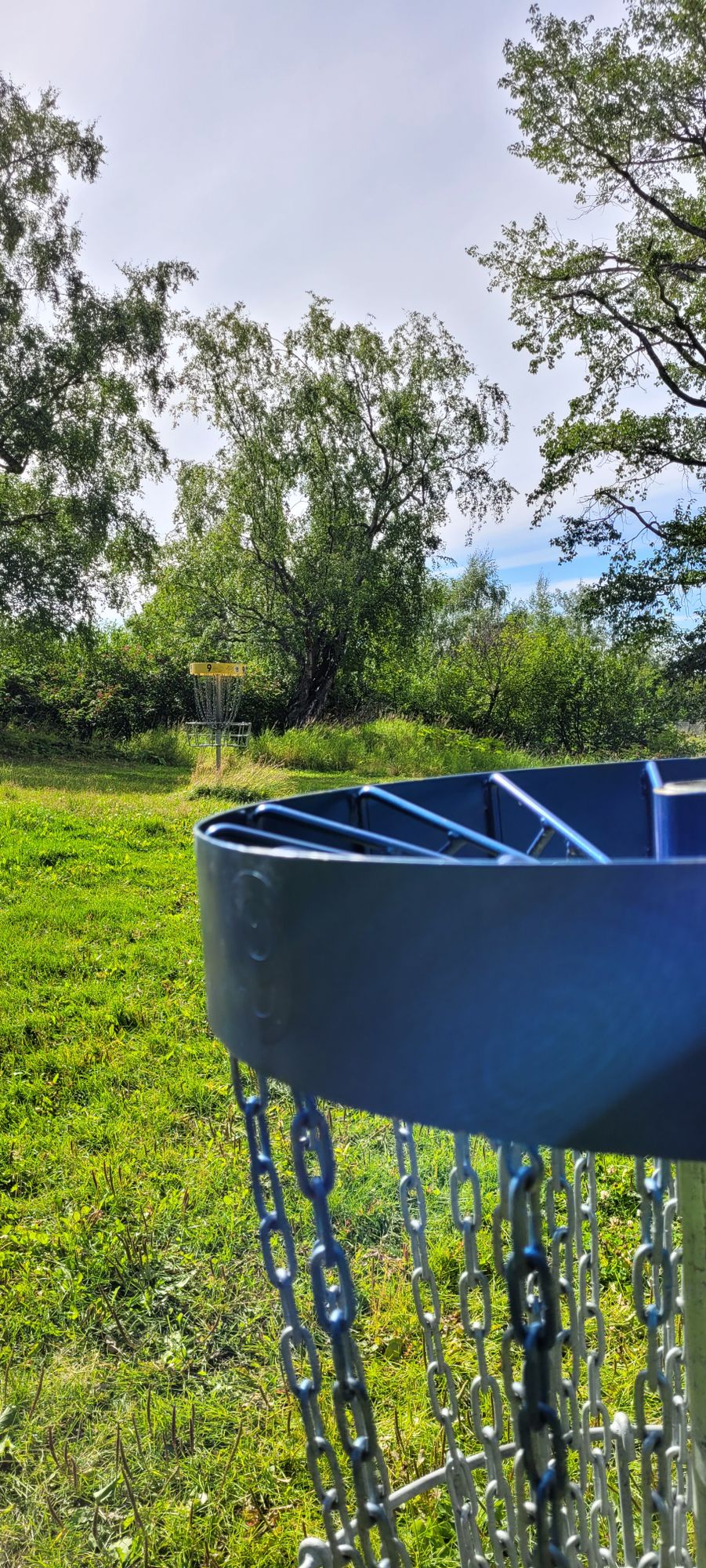 Yellow baskets should become gold 😀 The Midnight Blue ones look amazing.