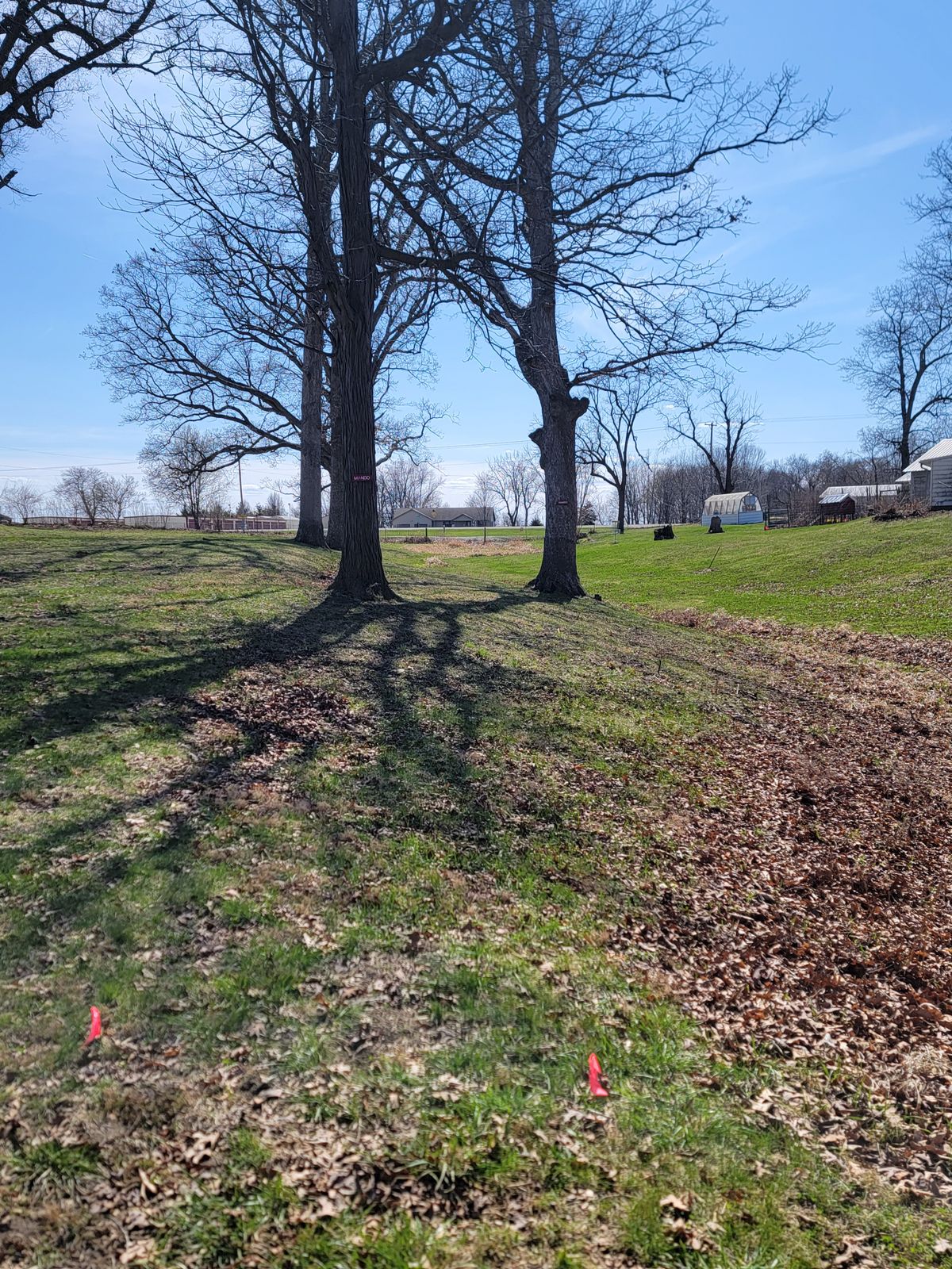 Hole 4 Tee