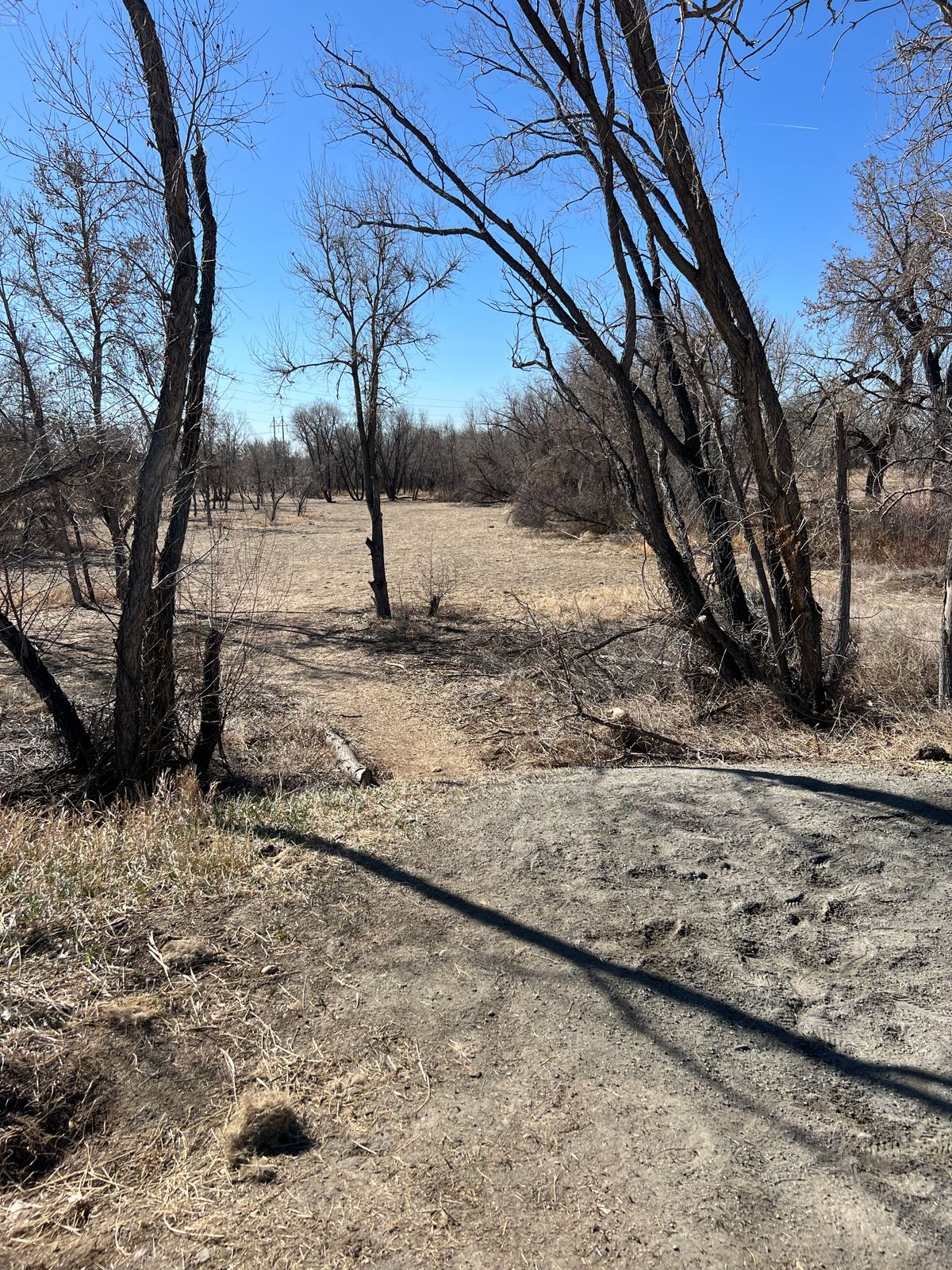 18 tee box. Watch out for that tree!