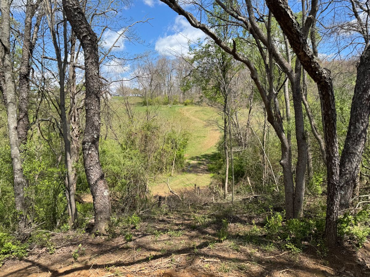 Hole 7 tee