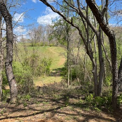 Hole 7 tee