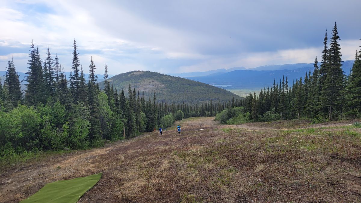 The view from Hole 1, Am pad.