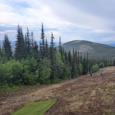The view from Hole 1, Am pad.