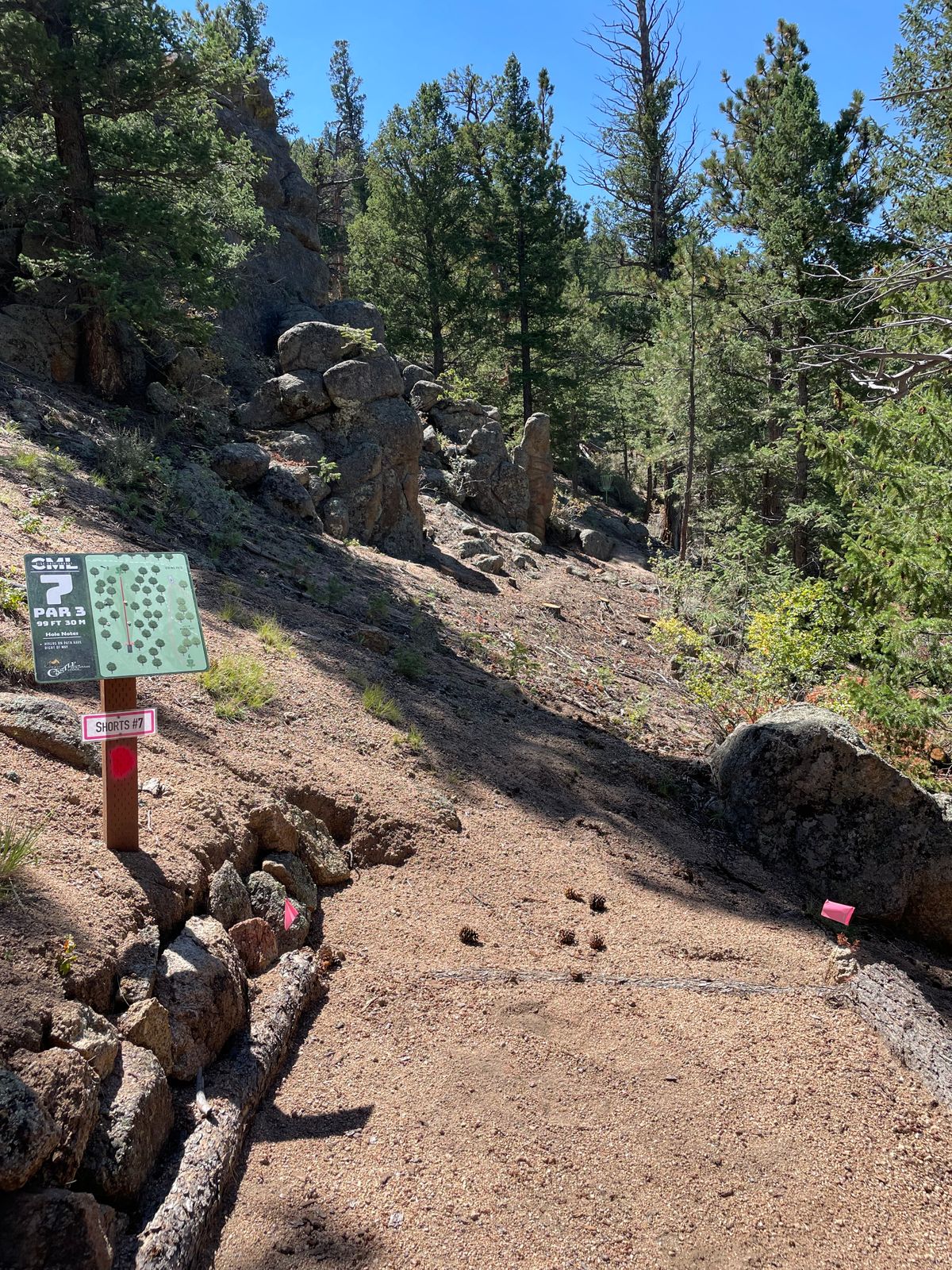 Hole 7 tee