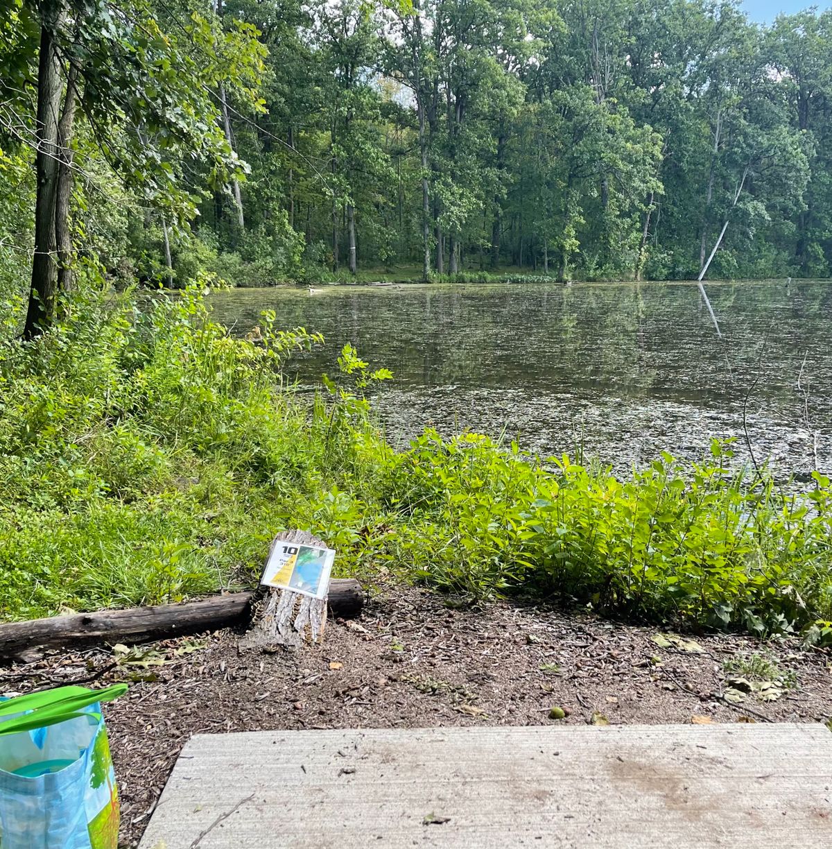 #10, force carry 300’ over water.