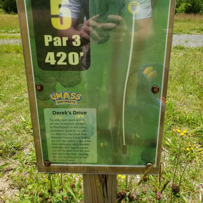 Hole 5