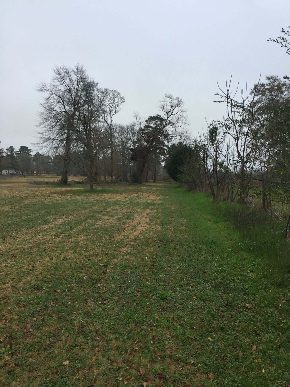 Hole 5