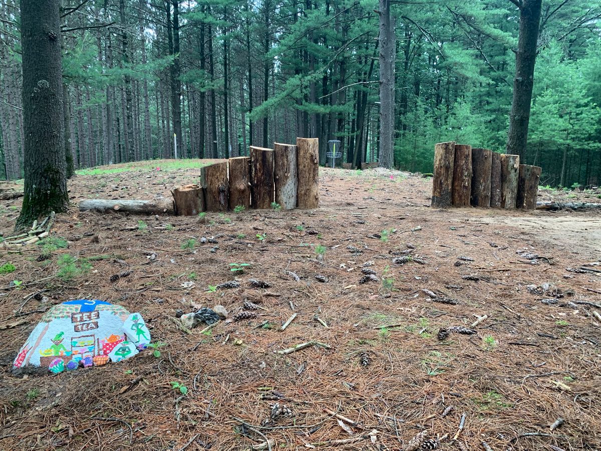 Rotting log wall may not last long, but looks cool for now.