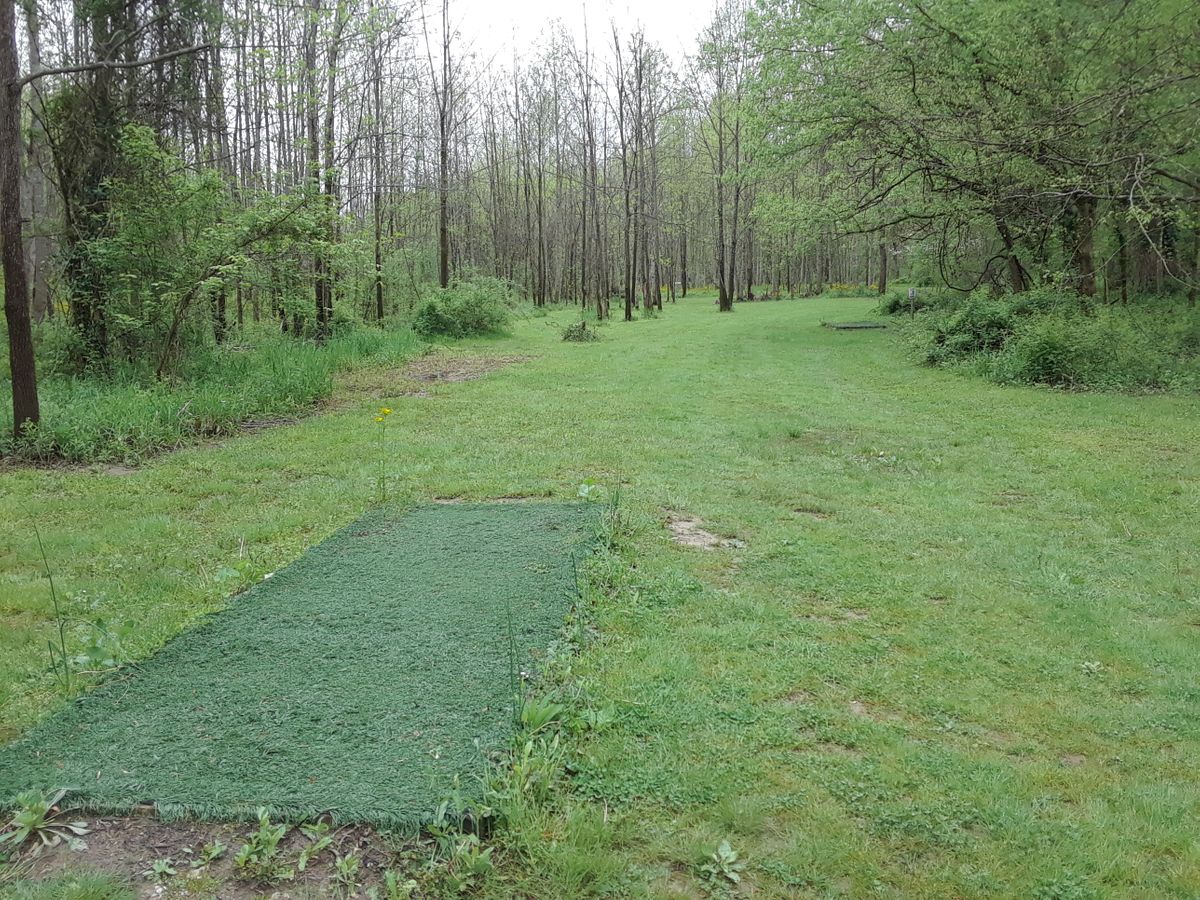 hole 14