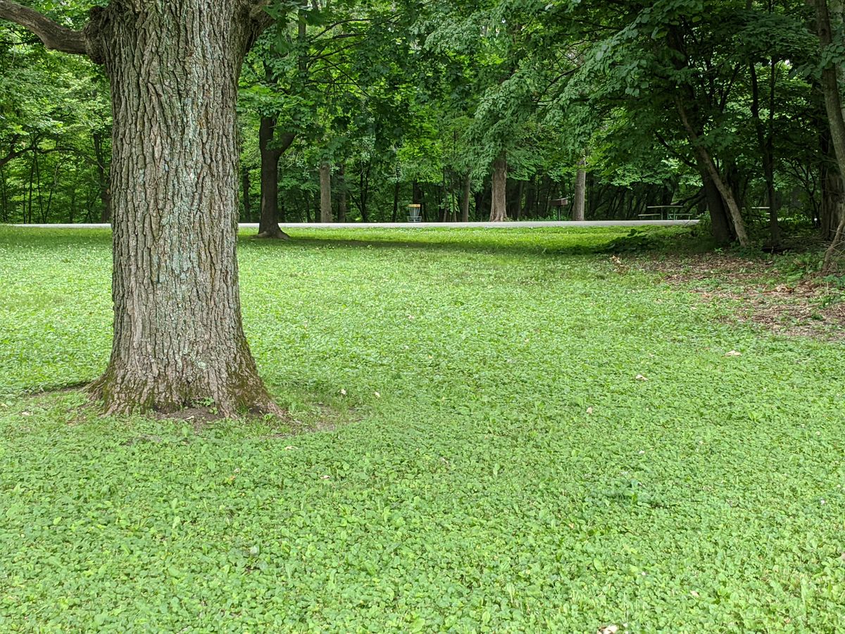 See pin in the distance.