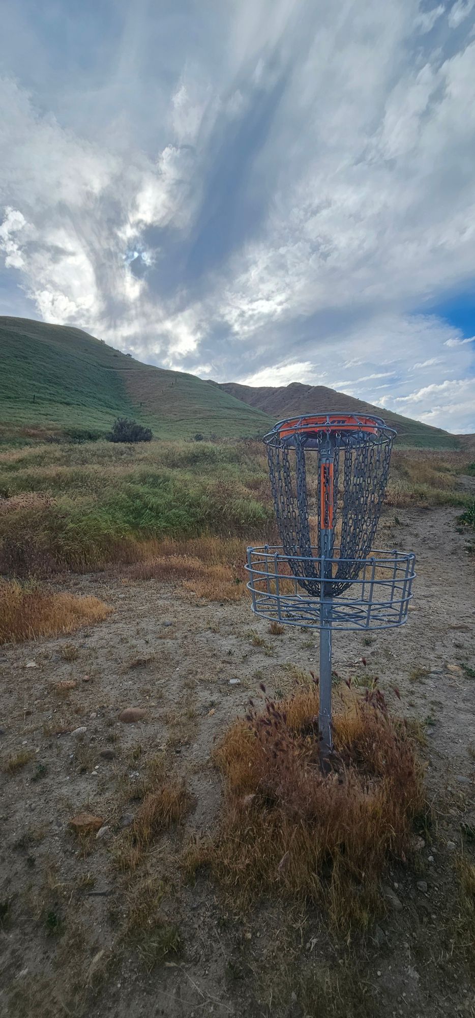 The purple needle grass sucks. Dont wear your favorite socks.