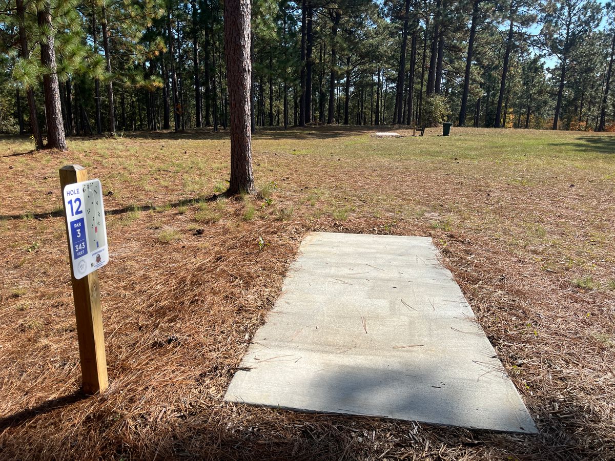 Hole 12 tee