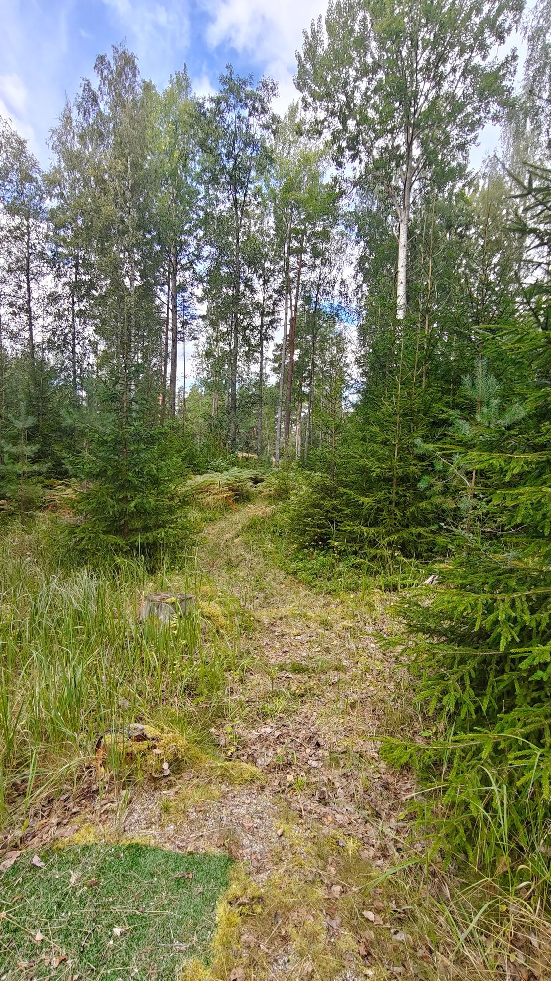 Hole 7