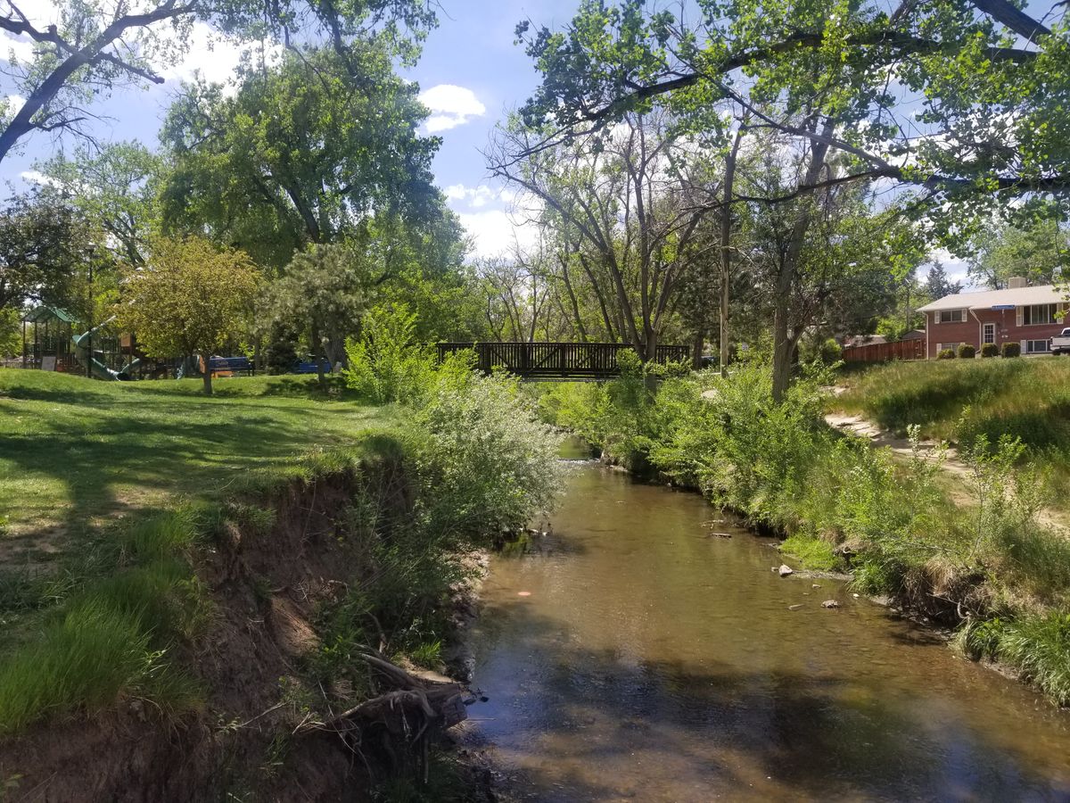 Water way along hole 15. You can see the disc in the water along the bank.