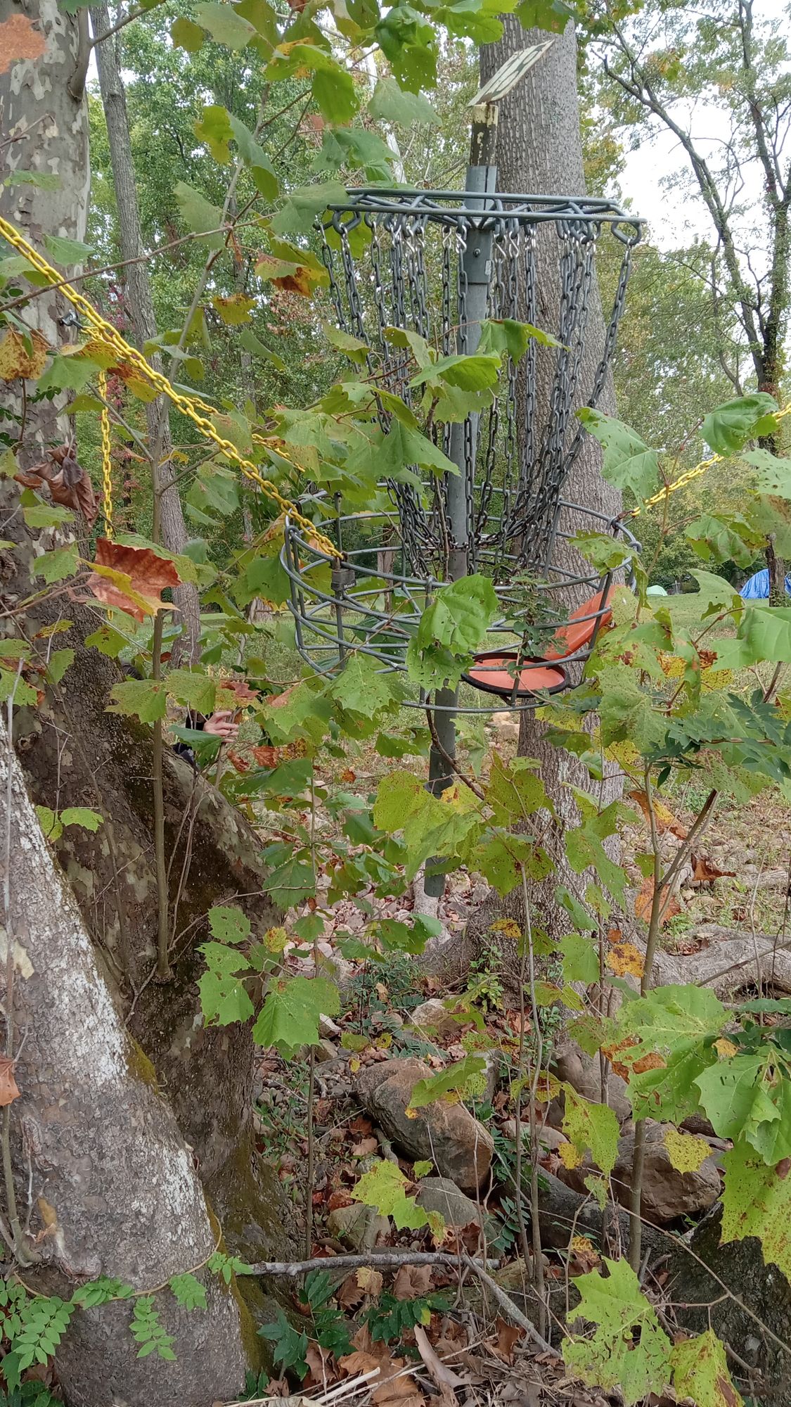 Hole 12