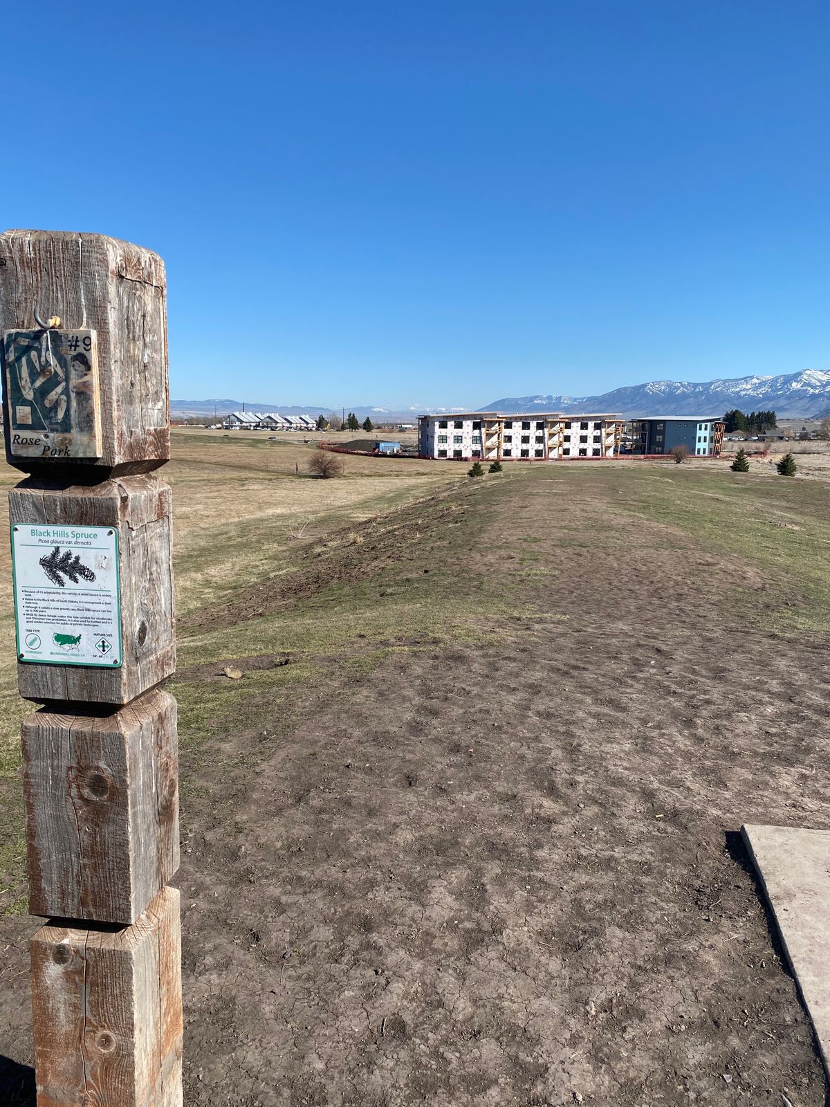 Hole 9
