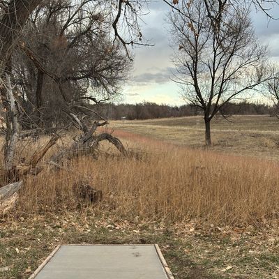 Hole 14 view. This hole has the most trees/obstacle compared to the other open shots.