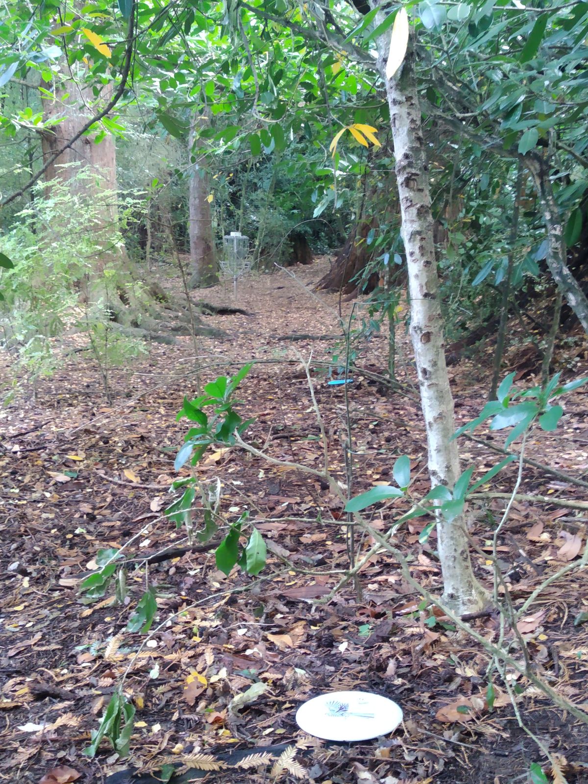 Approaching the somwhat protected 6th basket