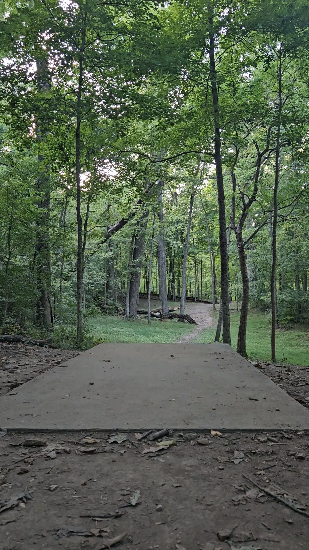 Hole 2 teepad