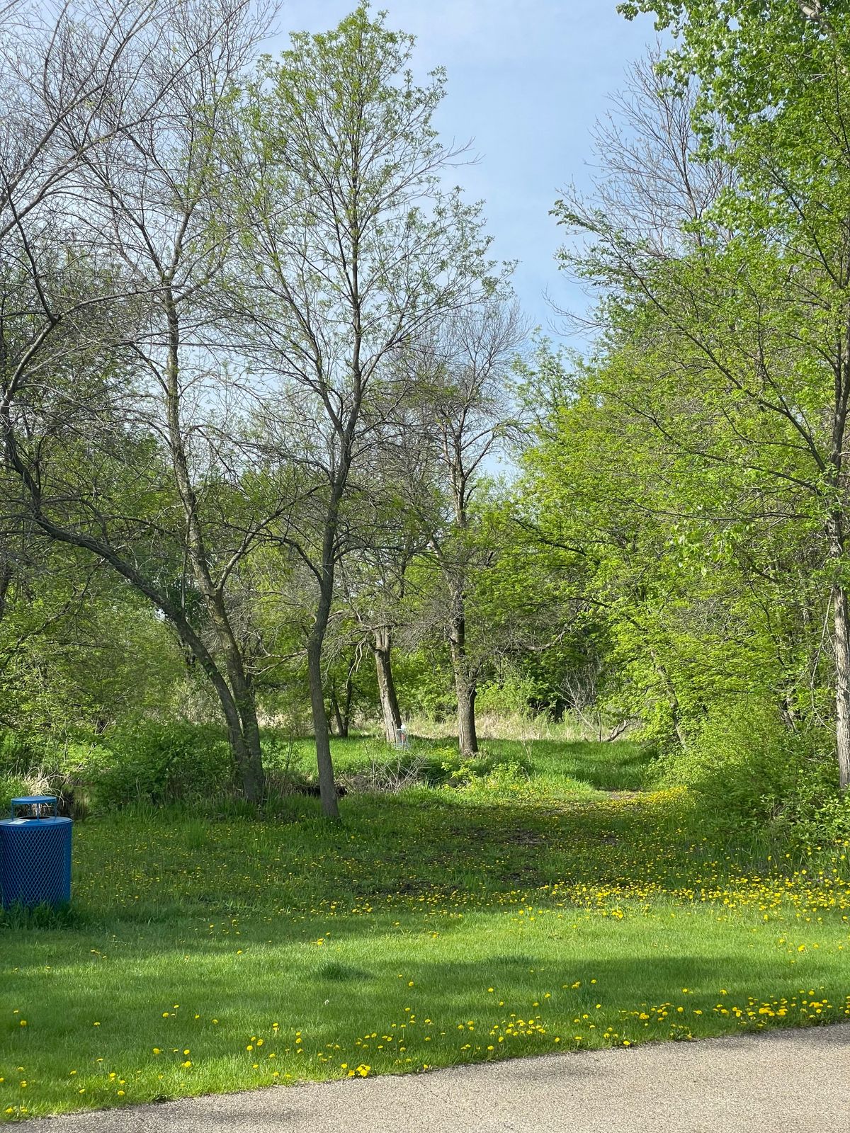 Hole 3 to basket (River on left)