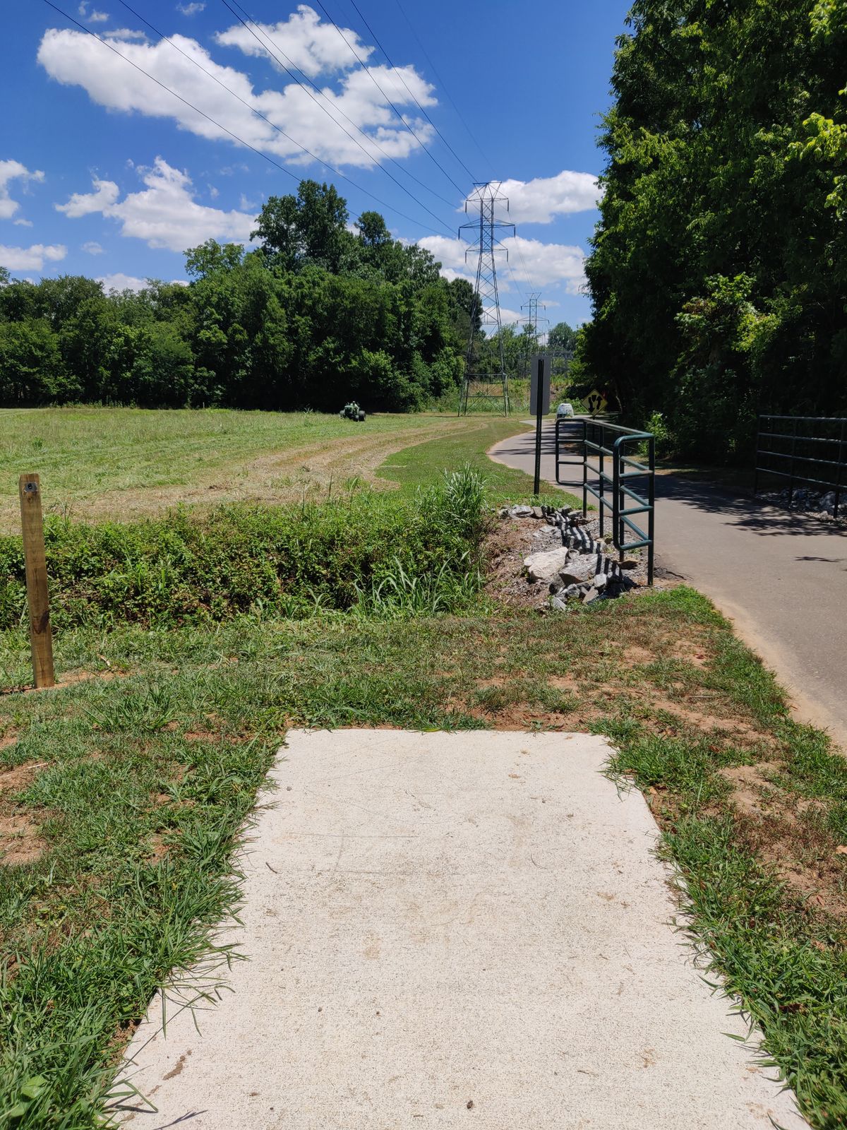 Hole 8. Looking at the basket from the tee pad.