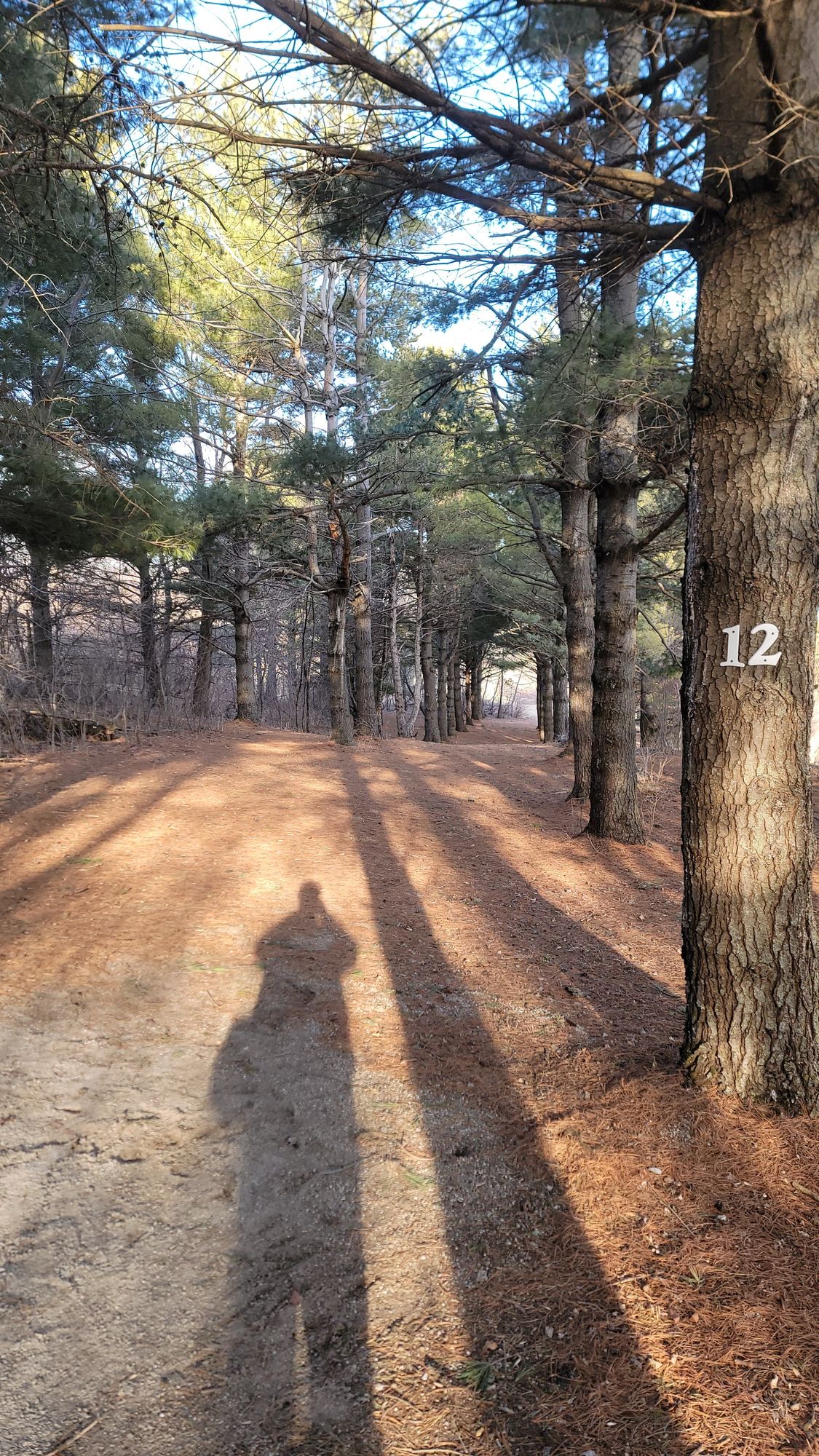 Hole 12