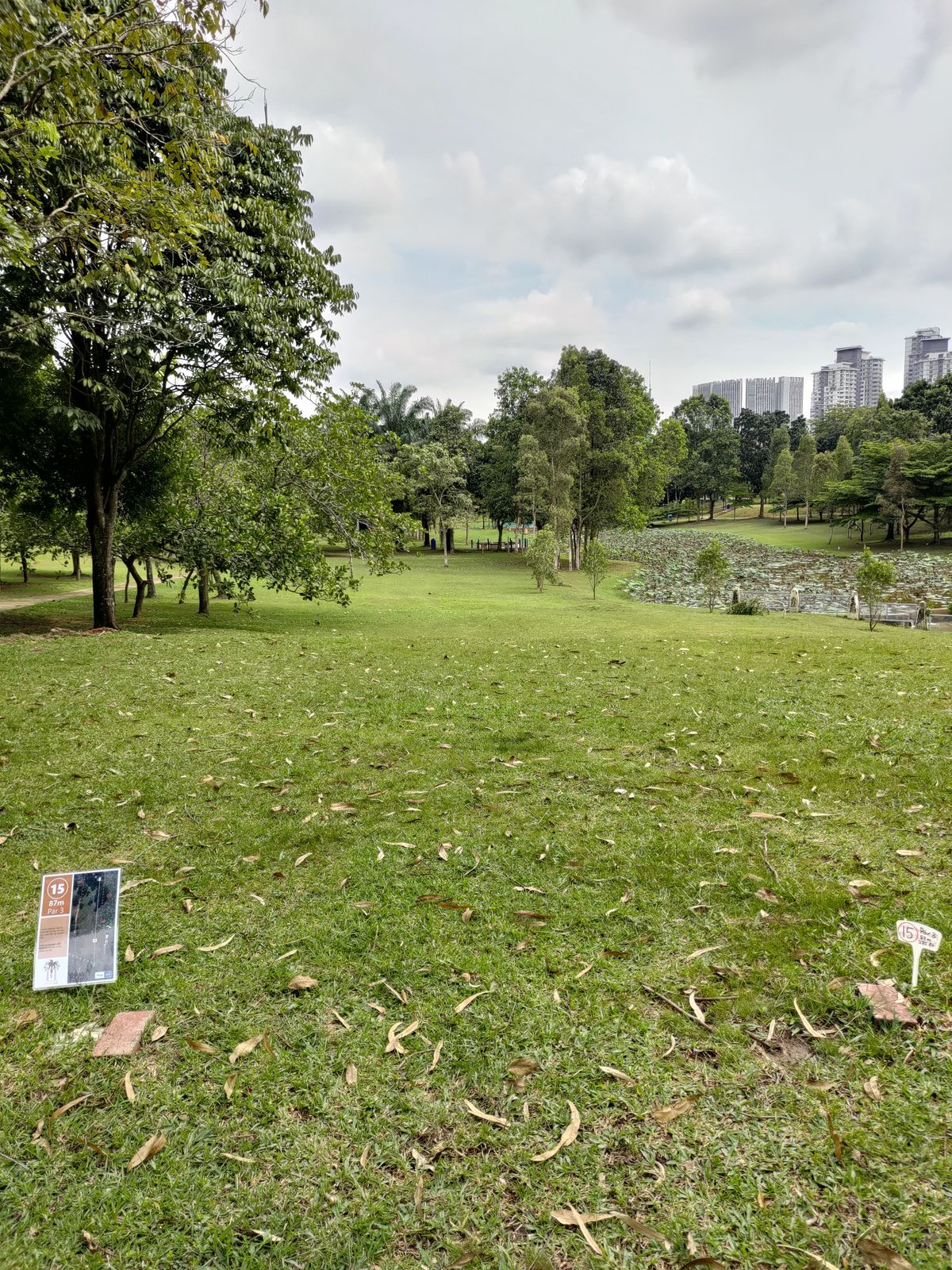 Hole 15 teepad