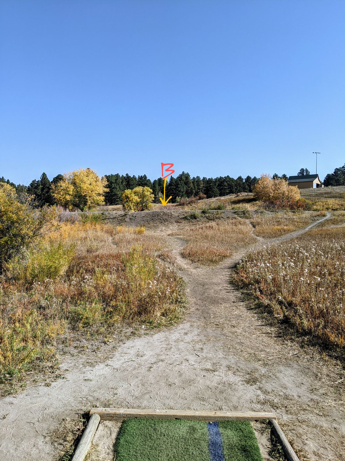 Yellow pin placement. WARNING: HAVE A SPOTTER! Cannot see where discs land over the ridge and the landing zone is filled with thick shrubs.