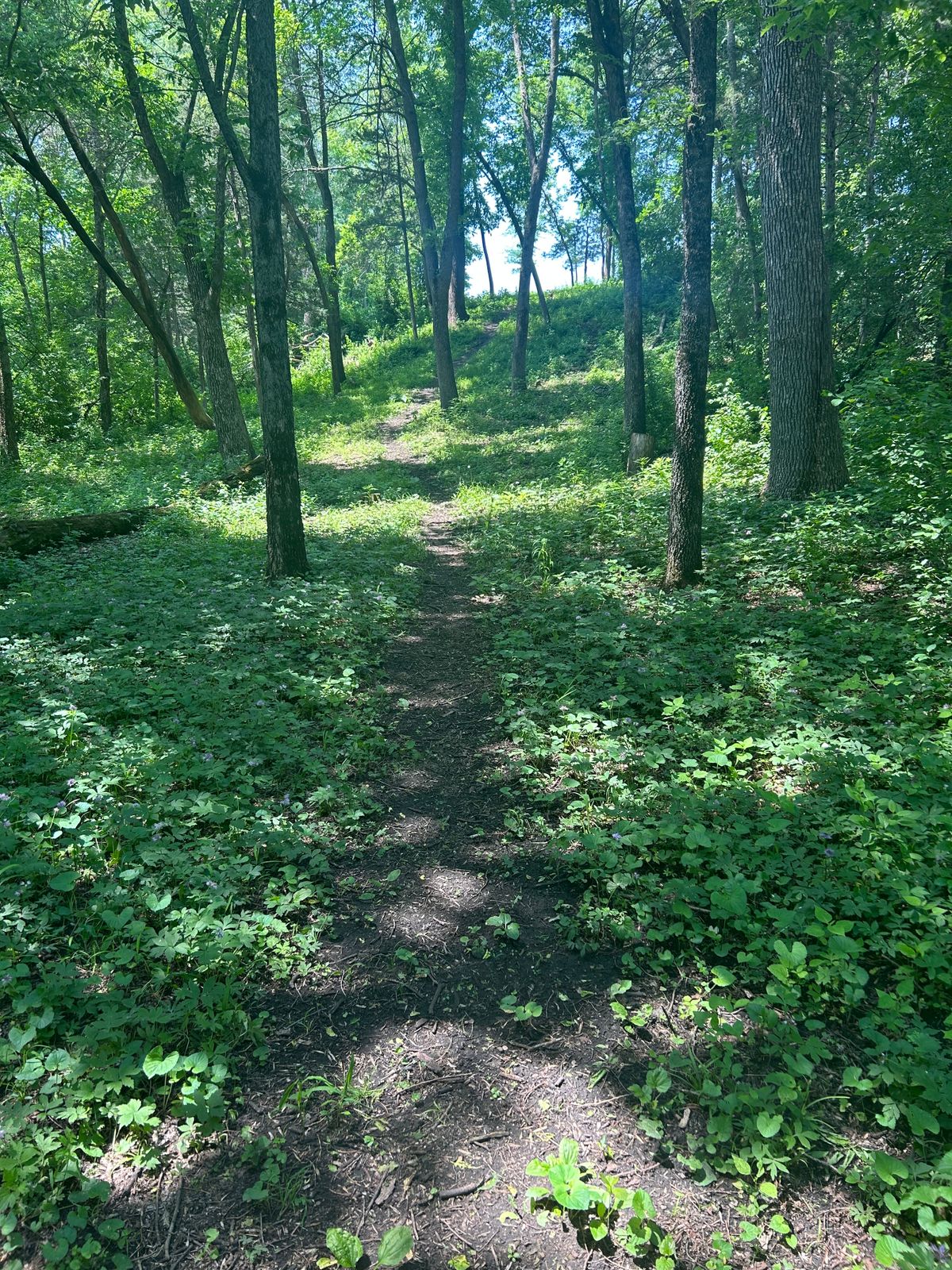 Hole 4