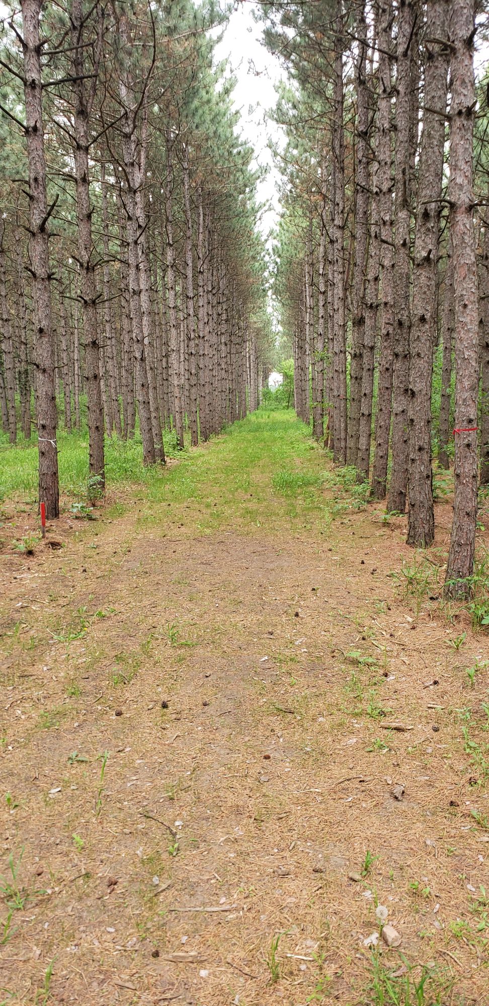 hole 3