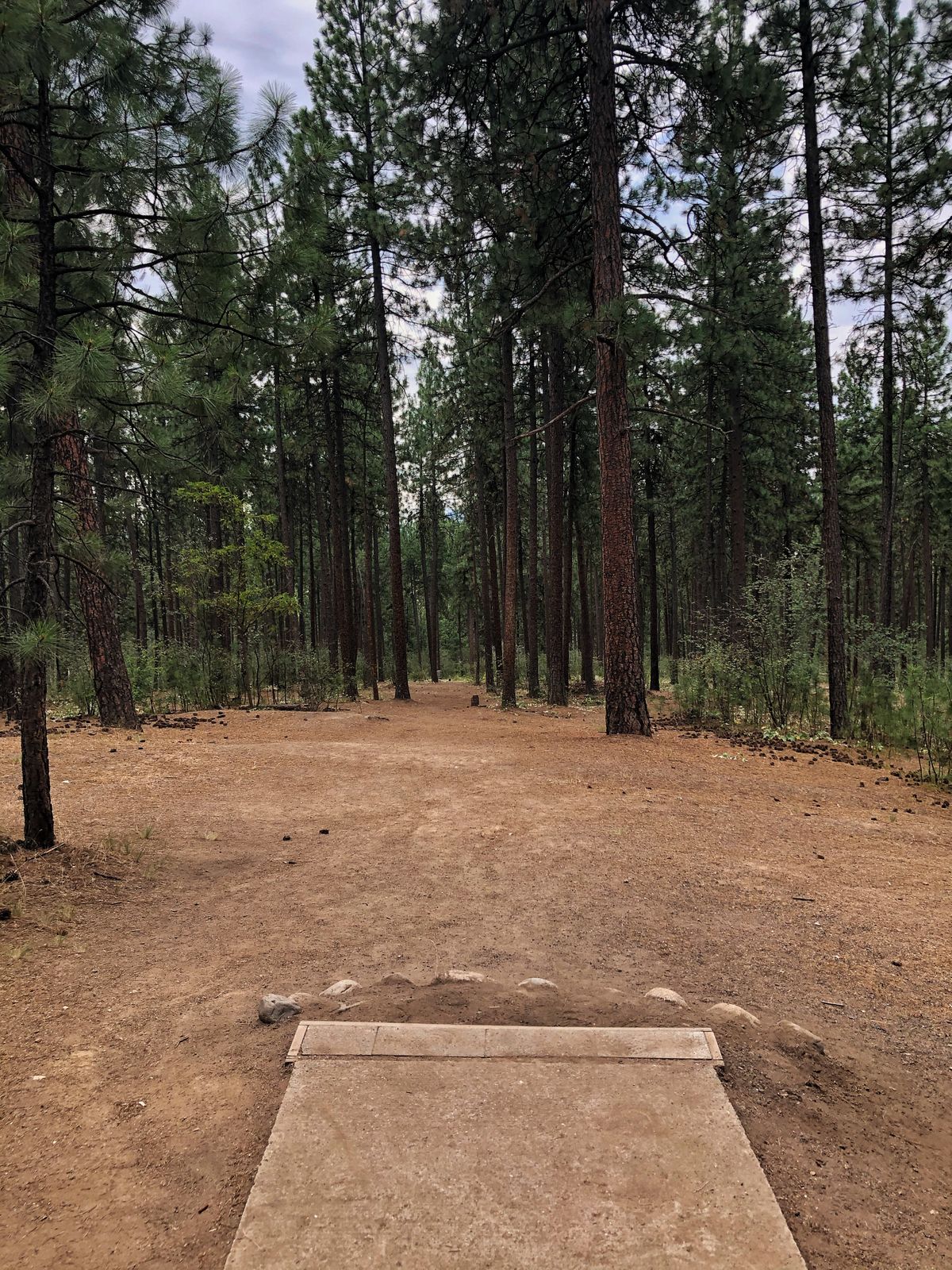 Hole 4