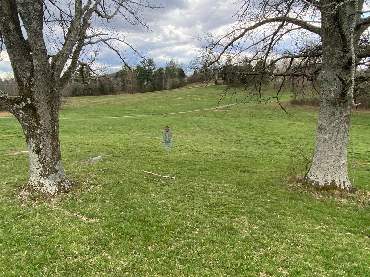 Hole 15 Basket