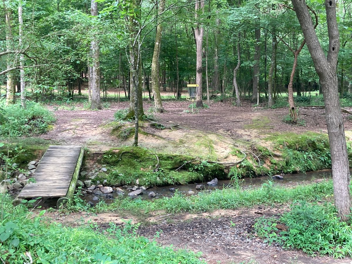 Hole 2 basket.