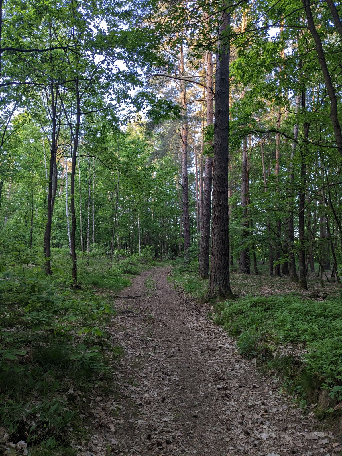 Hole 11