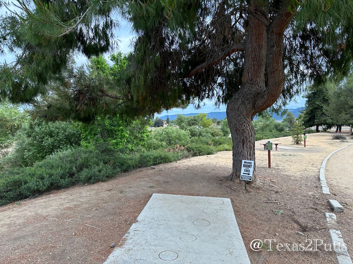 Hole 15