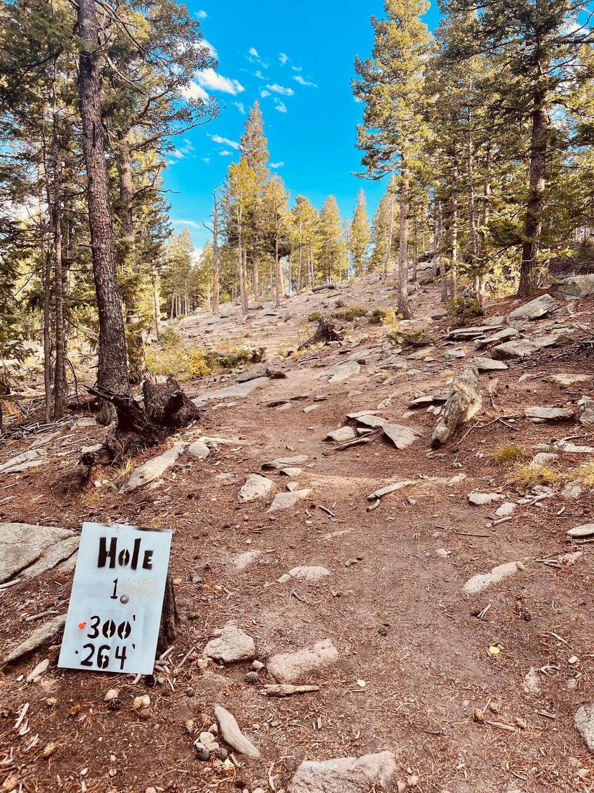 At 8600’ of elevation, there is no such thing as an understable disc.