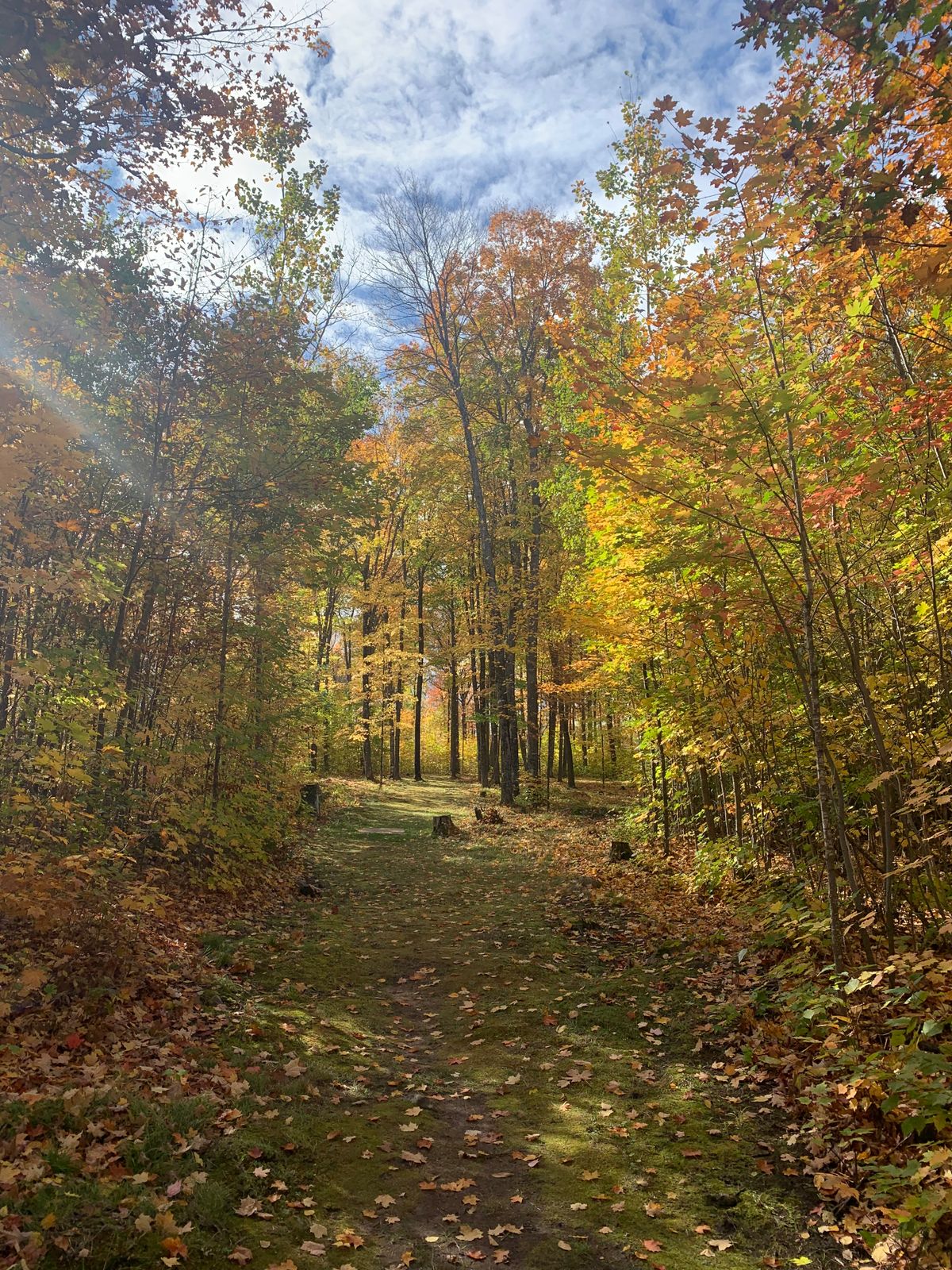Back 9 views during the Fall.